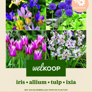 Welkoop Iris Allium Tulp Ixia - Biodiversiteit - Bloembollen