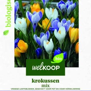 Welkoop Krokussen mix - Biologisch - Bloembollen
