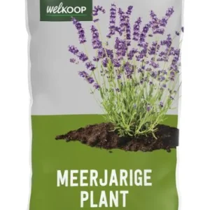 Welkoop Meerjarige plant - Potgrond - 45 Liter
