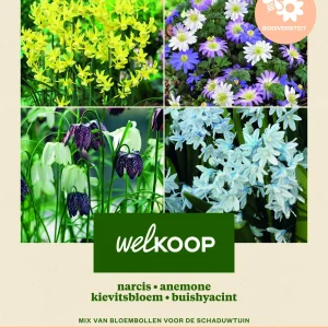 Welkoop Narcis Anemone Kievitsbloem Buishyacint - Biodiversiteit - Bloembollen
