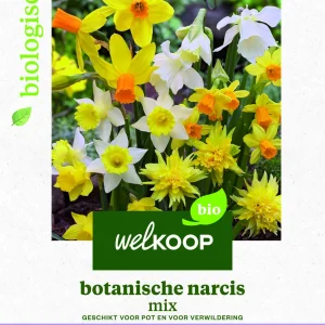 Welkoop Narcis Biologisch Botanische mix - Bloembollen