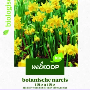 Welkoop Narcis Biologisch Botanische mix - Bloembollen