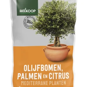Welkoop Olijfbomen Palmen Citrus - Potgrond - 30 Liter