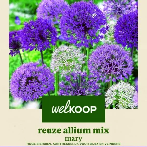 Welkoop Reuze Allium mix Mary - Bloembollen