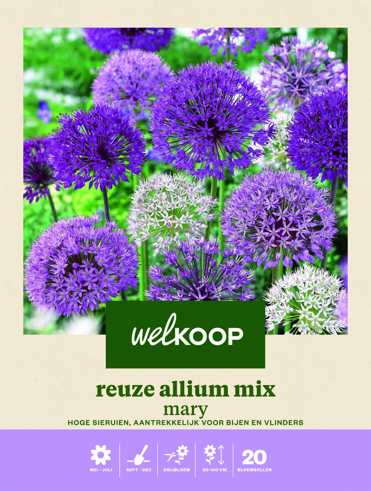 Welkoop Reuze Allium mix Mary - Bloembollen