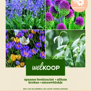 Welkoop Spaanse boshyacint Allium Krokus Sneeuwklokje - Biodiversiteit - Bloembollen