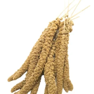Welkoop Trosgierst - Vogelvoer - 0.2 Kilogram