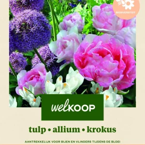 Welkoop Tulp Allium Krokus Biodiversiteit - Bloembollen