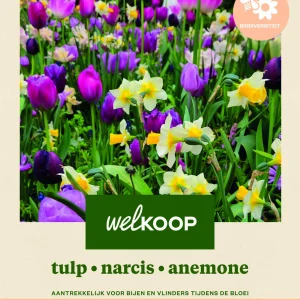 Welkoop Tulp - Biodiversiteit - Bloembollen