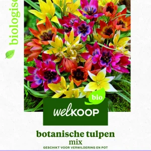 Welkoop Tulp Biologisch Botanische mix - Bloembollen