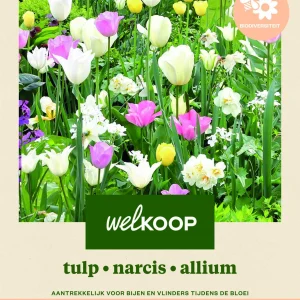 Welkoop Tulp Narcis Allium Biodiversiteit - Bloembollen
