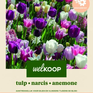 Welkoop Tulp Narics Anemone - Biodiversiteit - Bloembollen