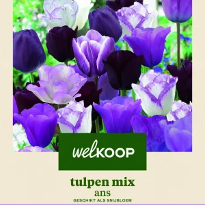 Welkoop Tulpen mix Ans - Bloembollen