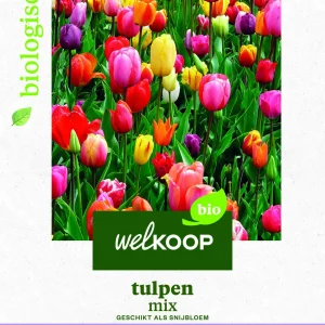 Welkoop Tulpen mix Biologisch - Bloembollen