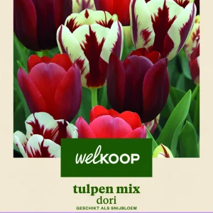 Welkoop Tulpen mix Dori - Bloembollen