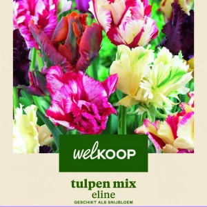 Welkoop Tulpen mix Eline - Bloembollen