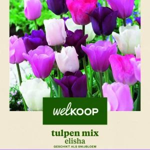 Welkoop Tulpen mix Elisha - Bloembollen