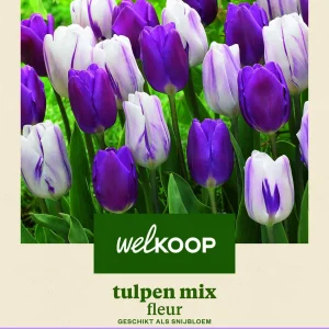 Welkoop Tulpen mix Fleur - Bloembollen
