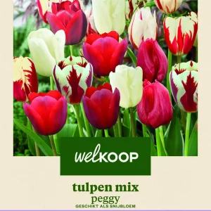 Welkoop Tulpen mix Peggy - Bloembollen