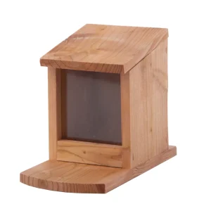 Welkoop Voederhuis Eekhoorn