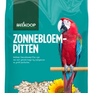 Welkoop Zonnebloempitten wit - Vogelvoer - 2.5 Kilogram - Zonnebloempitten wit