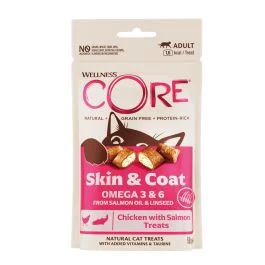 Wellness Core Adult Skin & Coat - Verwensnacks - 50 g Kip&Zalm - Verwensnacks - Pets Place