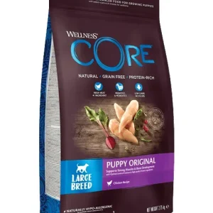 Wellness CORE Large Breed Puppy Original Kip