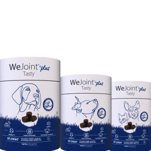 WePharm WeJoint Plus Tasty