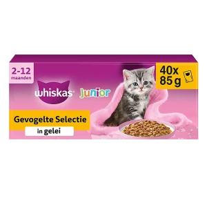 Whiskas Junior Gevogelte in Gelei 40×85 g