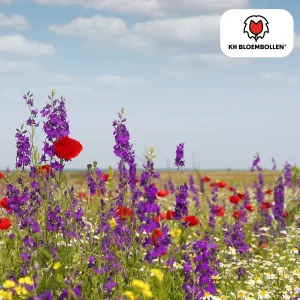 Wilde Bloemenzaad Mix - 100g | Bijen- & Vlindervriendelijk | ± 30-50 m² Bloei