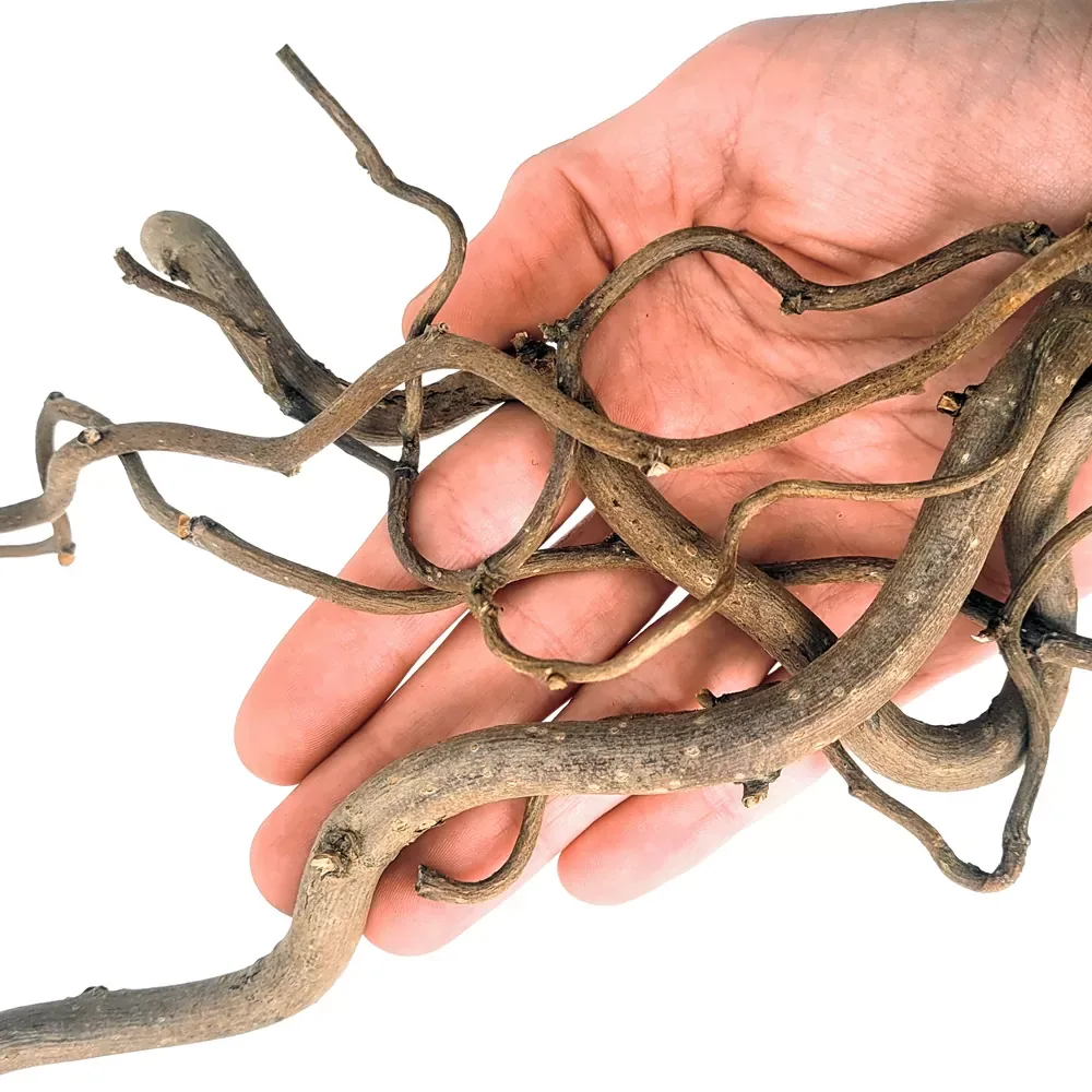 WIO Twisted Root - Image 2