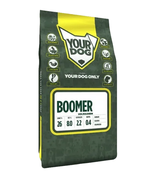 Yourdog Boomer (ras specifieke samenstelling) - Image 2