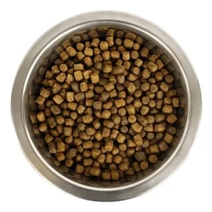 Yourdog Chien Français Blanc Et Pup - 12 kg