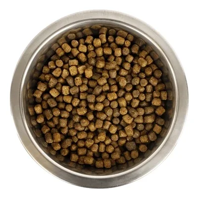 Yourdog Chien Français Blanc Et Pup - 12 kg