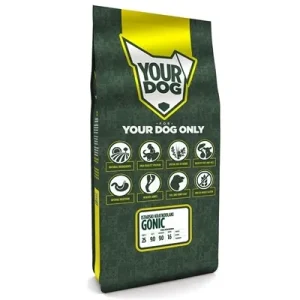 Yourdog Istarski Kratkodlaki Gonic Volwassen - 12 kg