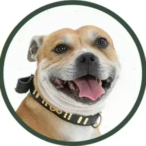 Yourdog Staffordshire Bull Terriër (ras specifieke voeding)