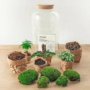 Zelfbouw planten terrarium - Botanische XL pot - 43 x - Met planten en toebehoren