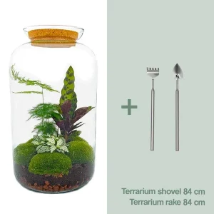 Zelfbouw planten terrarium - Botanische XL pot - 43 x - Met planten en toebehoren inc hark en schep
