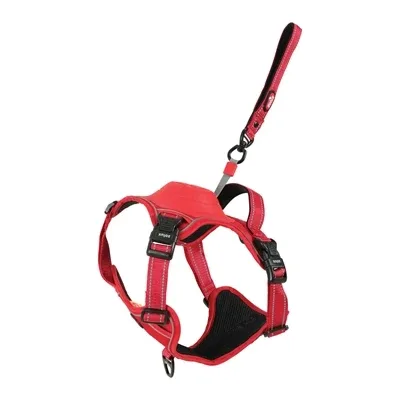 Zolux Easyride Hondentuig - 55 kg