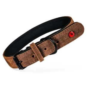 Zolux Expert Halsband Hond Premium Leer / Neopreen Bruin 40X1,6 Cm