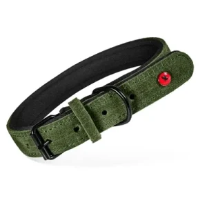 Zolux Expert Halsband Hond Premium Leer / Neopreen Groen 50X2 Cm
