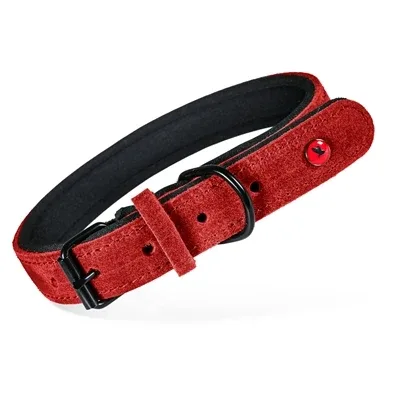 Zolux Expert Halsband Hond Premium Leer / Neopreen Rood 45X1,8 Cm