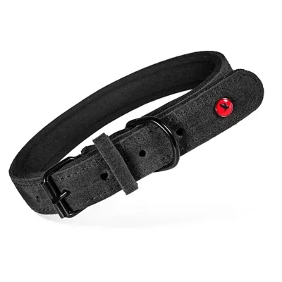 Zolux Expert Halsband Hond Premium Leer / Neopreen Zwart 35X1,4 Cm
