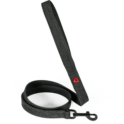 Zolux Expert Hondenriem Premium Leer / Neopreen Zwart 100X2 Cm