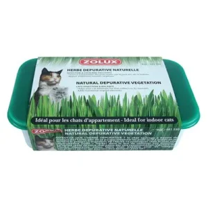 Zolux kattengras